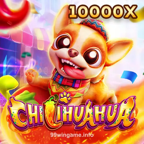 Fachai Chihuahua